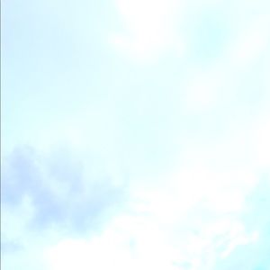 Meet your Posher, Liberty